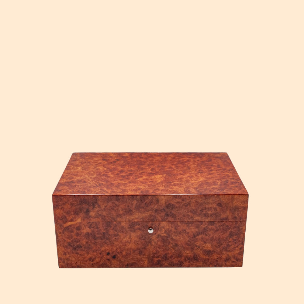 GENTILI PESARO LIGHT AMBOINA BIG HUMIDOR